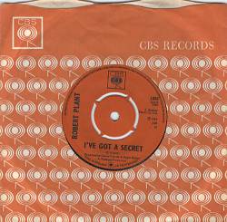 Robert Plant : Long Time Coming